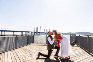 Tarrytown Pierson Park Proposal Jesse Rinka NY