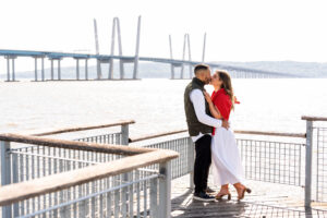 Tarrytown Pierson Park Proposal Jesse Rinka NewYork