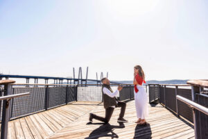 Tarrytown Pierson Park Proposal Jesse Rinka Westchester